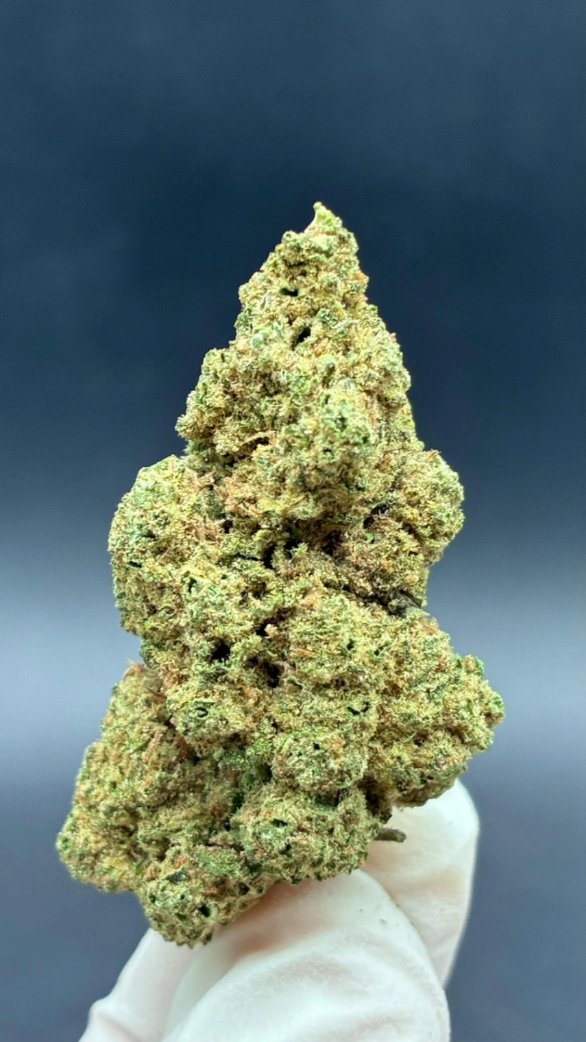 Pineapple express cbd hidropónica  - Cáñamo industrial uso aromático